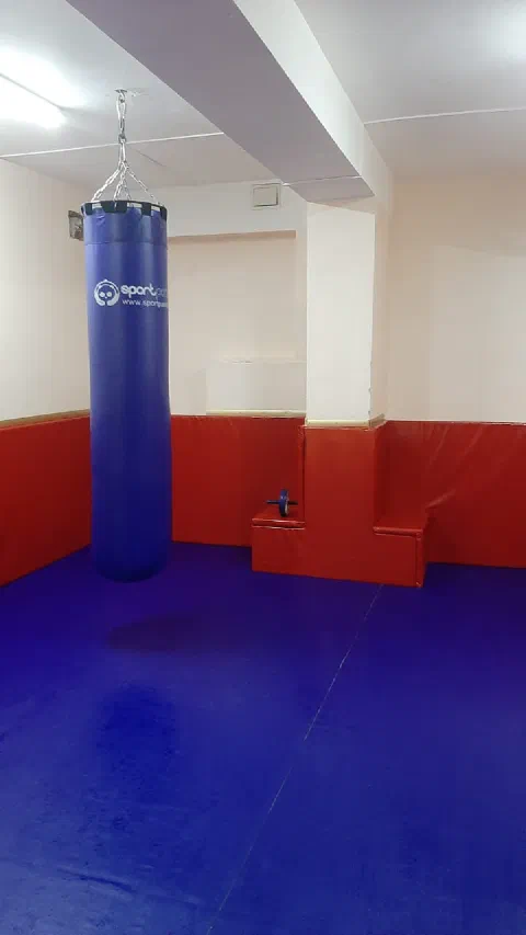 Синий борцовский ковёр