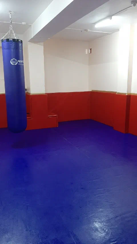 Ковёр для единоборств